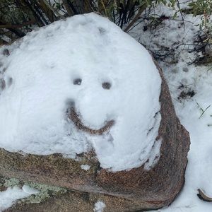 Meet your Posher, Phoenix